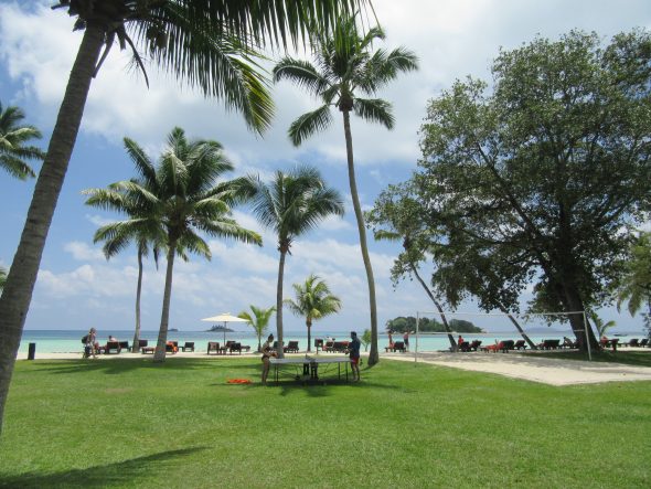Paradise Sun med palmer, gress og strand på Seychellene